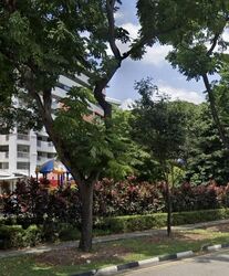 Jalan Bukit Merah (D3), Shop House #613370801